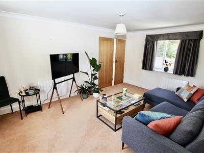 Picture 13